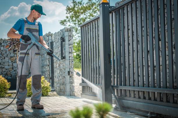Best Soft Washing  in Lake Alfred, FL