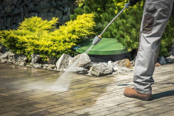 Best Gutter Cleaning  in Lake Alfred, FL