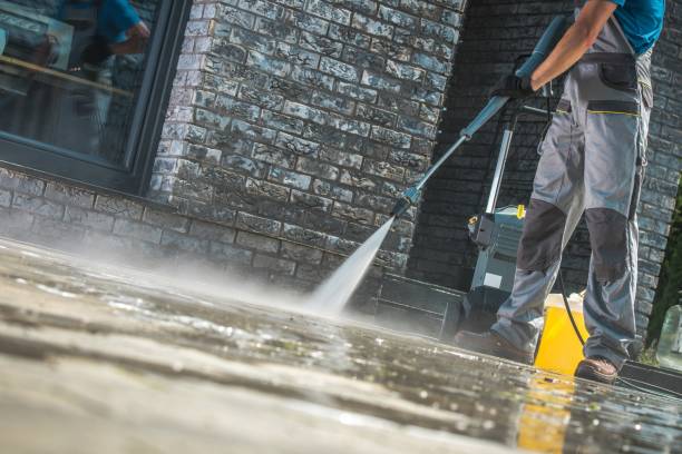 Best Fleet Vehicle Washing  in Lake Alfred, FL