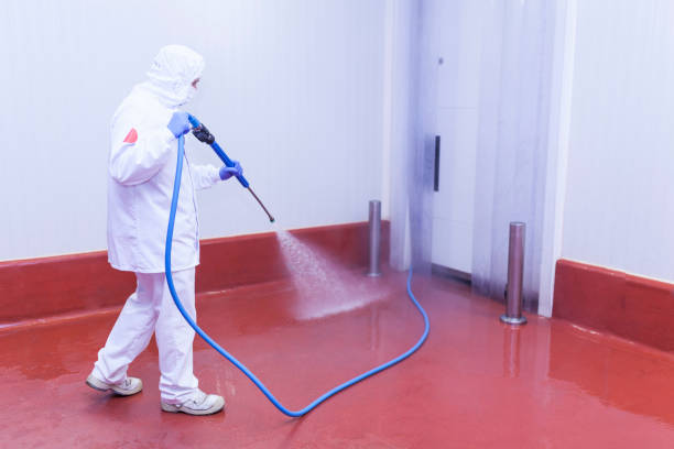 Best Solar Panel Cleaning  in Lake Alfred, FL