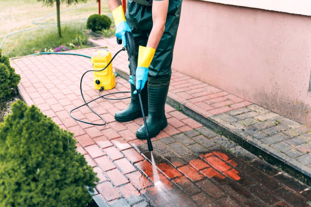 Best Building Exterior Washing  in Lake Alfred, FL