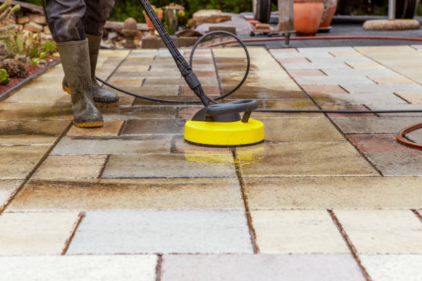 Best Fence Cleaning  in Lake Alfred, FL