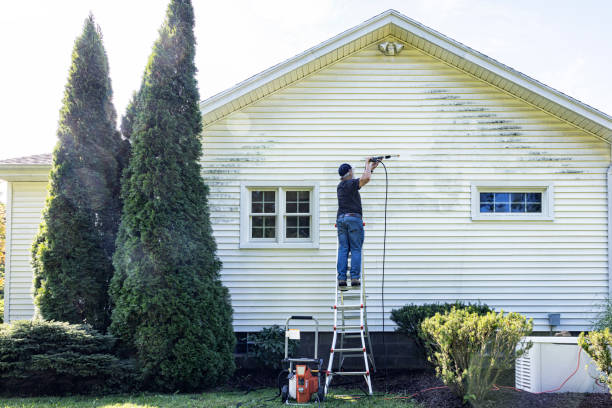 Best Restaurant Pressure Washing  in Lake Alfred, FL